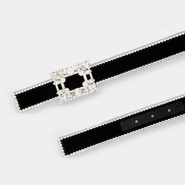 大人気ブロッシュヴィヴィエ ベルベット ベルト スーパーコピー[ロジェヴィヴィエ]