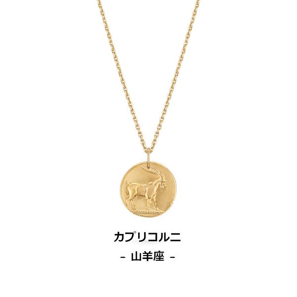 お洒落にヴァンクリーフ ゾディアック メダル ペンダント 偽物 VCARP7SQ00