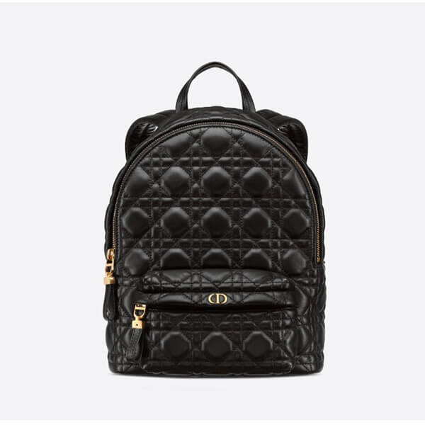 ディオール リュック 偽物 BACKPACK スモールリュック M9221UNGF_M900