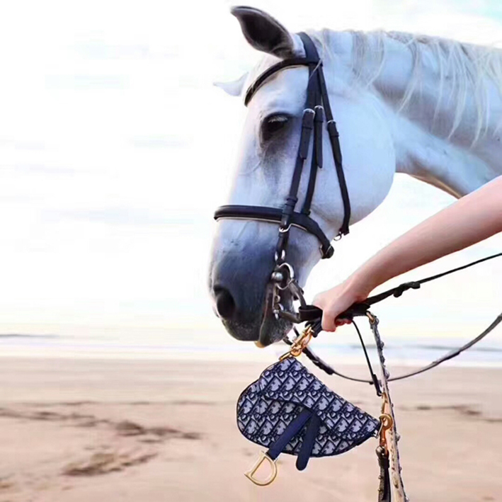​ディオール サドル スーパーコピー★ディオール オブリーク 偽物 ブルー キャンバス SADDLE ミニバッグ 2023新作★日本即発