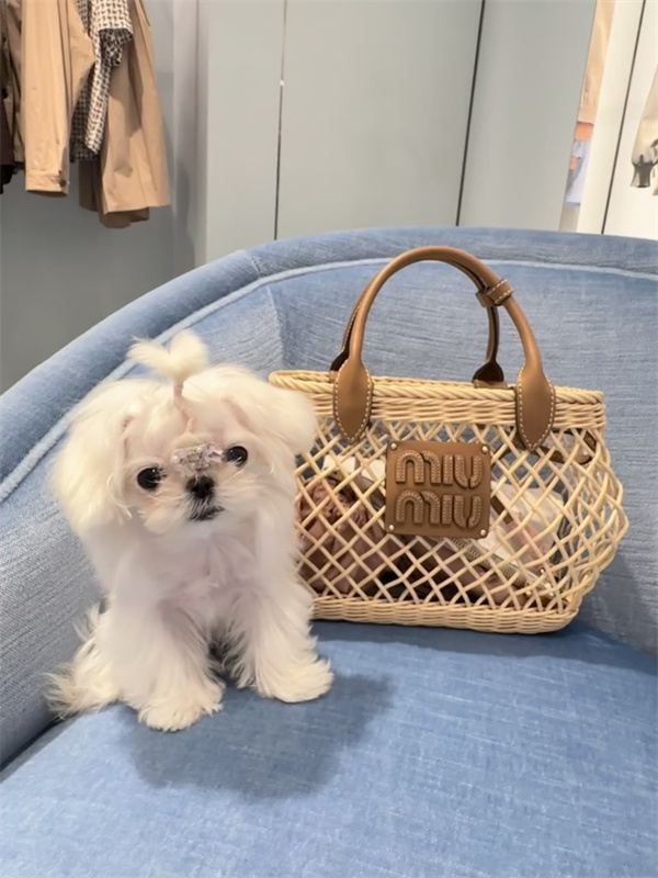   ミュウミュウ最新作：レトロとモダンが融合した「Woven Fabric Handbag with Leather Tri