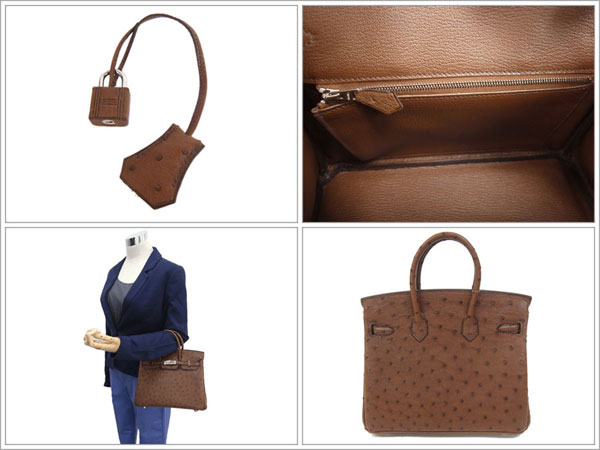 エルメス バーキン 25 cm ハンドバッグ エトリュスク×シルバー金具 オーストリッチ P刻印 エルメス Birkin バッグ