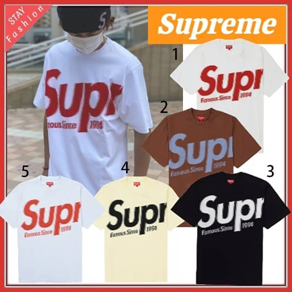 シュプリーム Tシャツ 偽物☆入手困難レア! Spellout T スペルアウトTシャツ