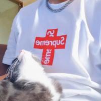 超人気モデル Supreme 20FW Cross Box Logo Tee シュプリーム半袖コピー フィット感がある