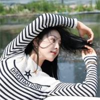 DIOR スーパーコピー セーター ディオール ストライプ コントラストカラー