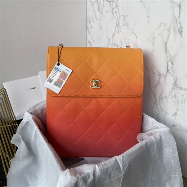 2024新作推薦 CHANE1 コピー ホーボーバッグ ラージホーボー Large Hobo お洒落タイプ