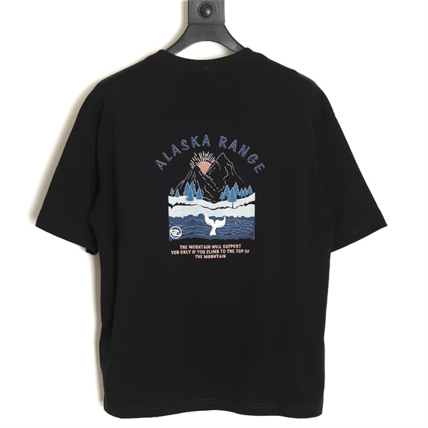 THE NORTH FACE コピー Tシャツ 100％コットン STEEP TECH シリーズ ザノースフェイス