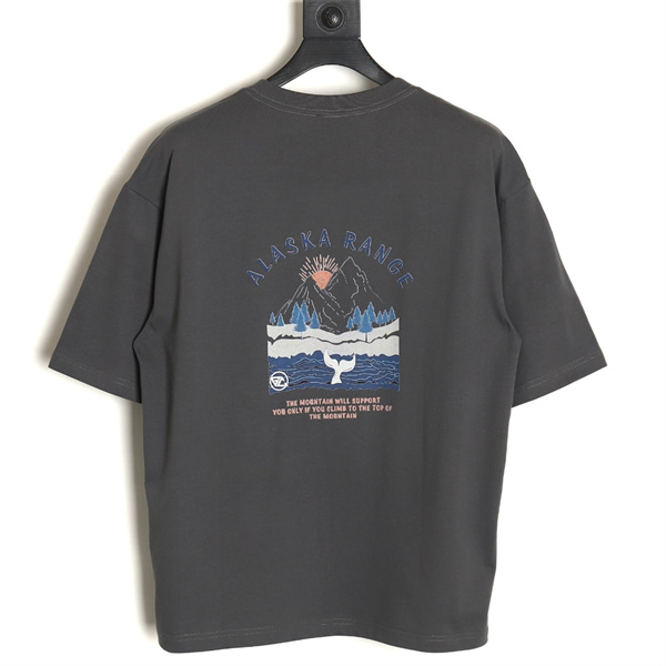 THE NORTH FACE コピー Tシャツ 100％コットン STEEP TECH シリーズ ザノースフェイス