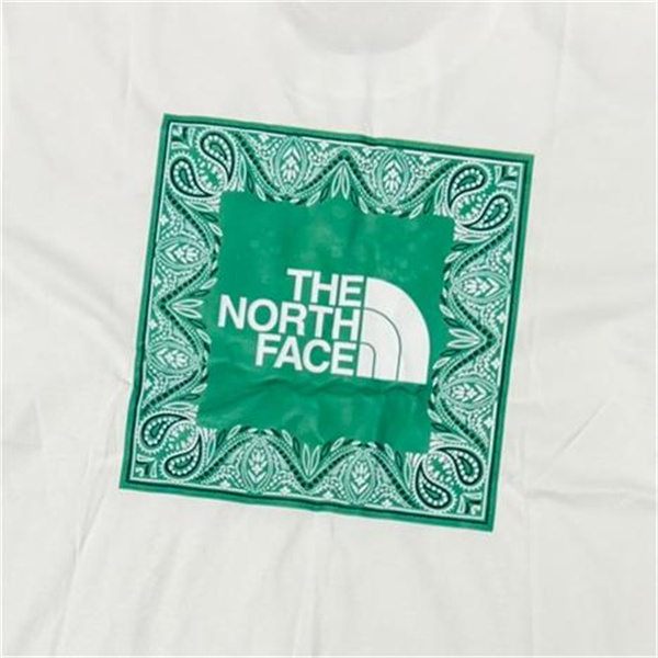THE NORTH FACE スーパーコピー Tシャツ ペイズリー 柄 3色 ストリート系 ユニセックス ザノースフェイス