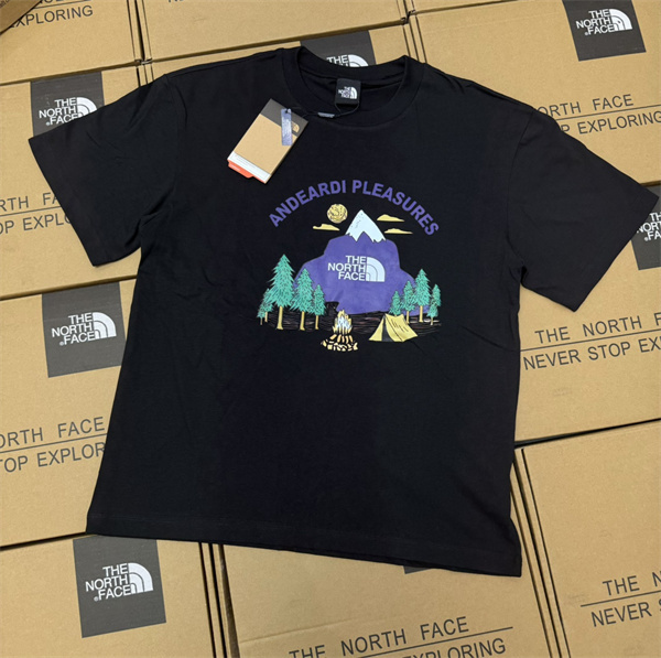 ザノースフェイス 偽物 Tシャツ 2色 キャップ 山 柄 THE NORTH FACE