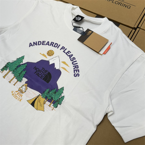 ザノースフェイス 偽物 Tシャツ 2色 キャップ 山 柄 THE NORTH FACE