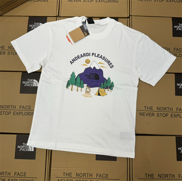ザノースフェイス 偽物 Tシャツ 2色 キャップ 山 柄 THE NORTH FACE