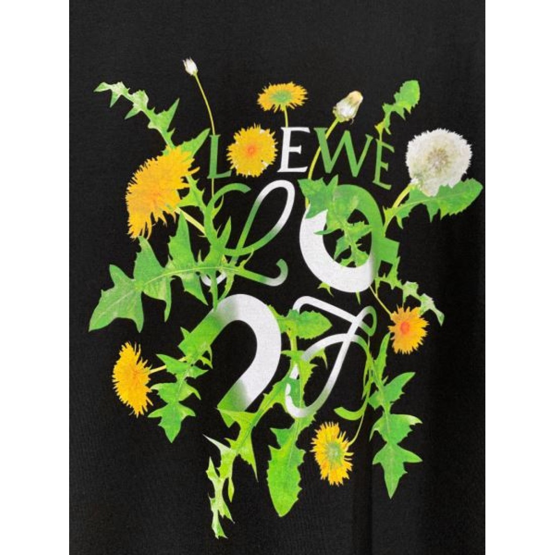 LOEWE ロエベ コピー 半袖Tシャツ 自然体で魅せる 柔らかく