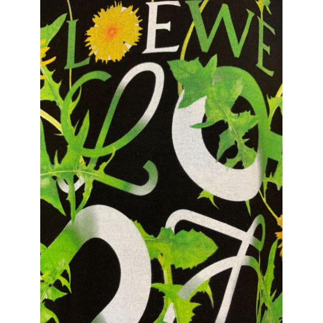 LOEWE ロエベ コピー 半袖Tシャツ 自然体で魅せる 柔らかく