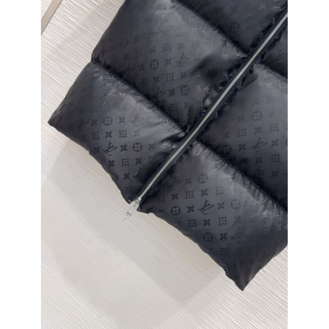 高機能 大人向け 高耐久 ルイヴィトン LOUIS VUITTON コピー ダウンジャケット 限定デザイン