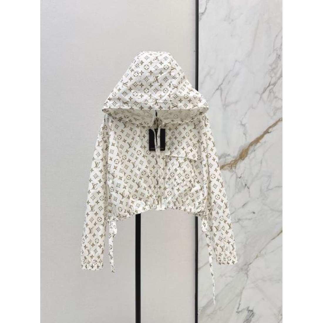 人気上昇 LOUIS VUITTON ルイヴィト...